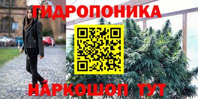 молекула духа Ликино-Дулёво