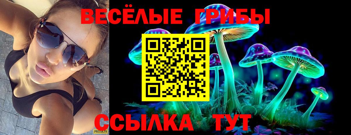 Галлюциногенные грибы мицелий Заводоуковск